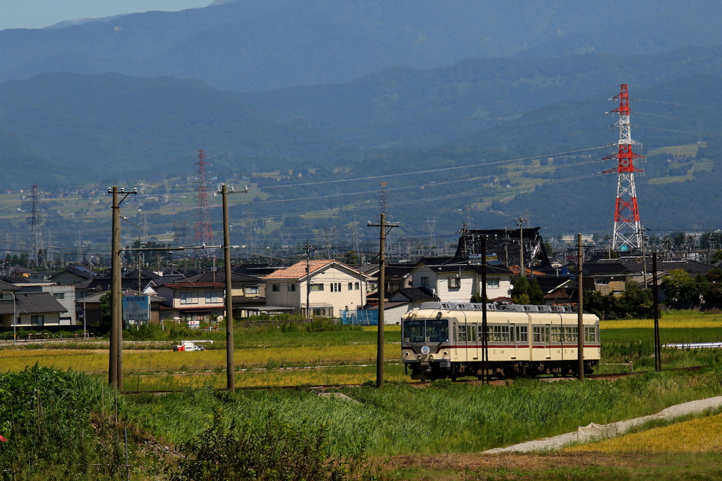 ダイコン君が行く～♪