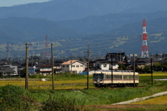 ダイコン君が行く～♪