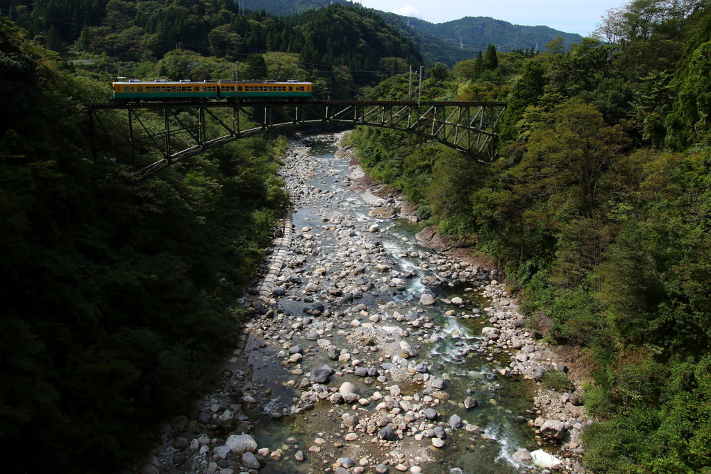 さて問題です！　右左どちらへ向かうでしょう？