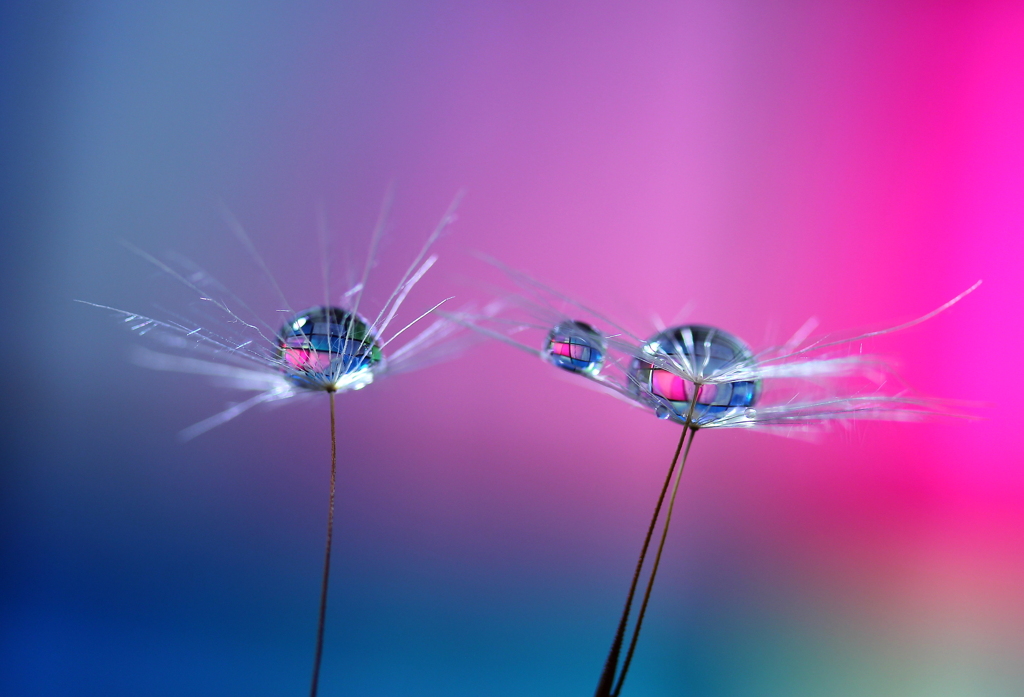 心海ＤＲＯＰＳ・・・
