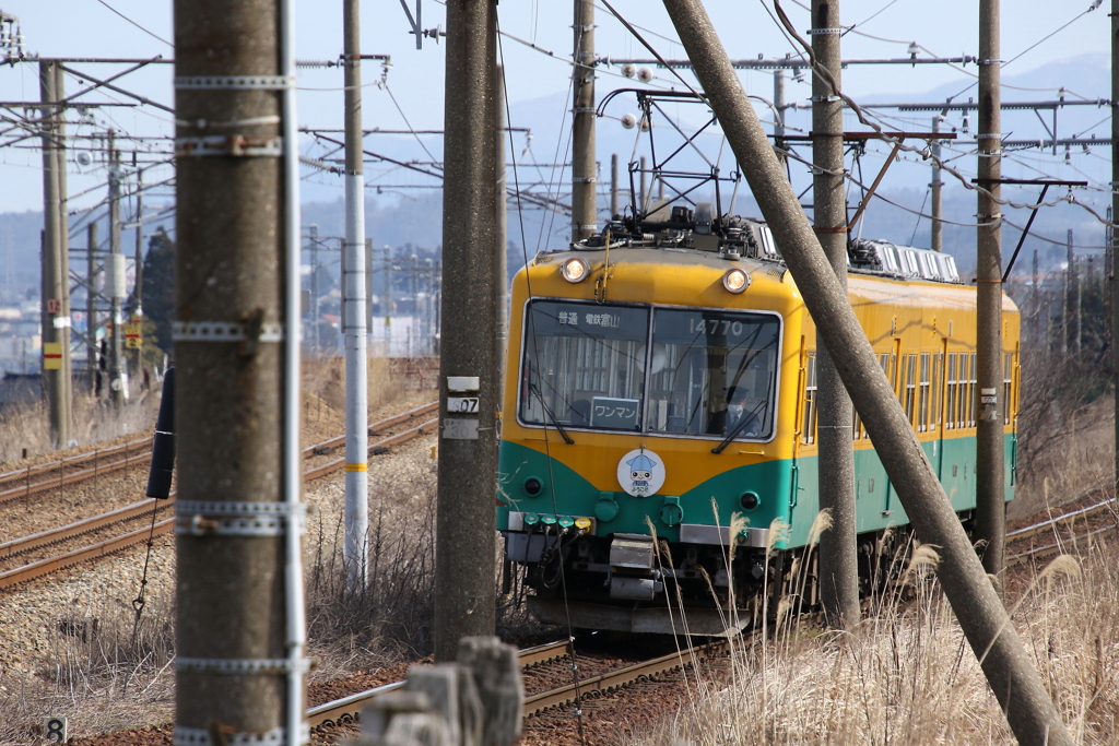 かぼちゃ君～♪