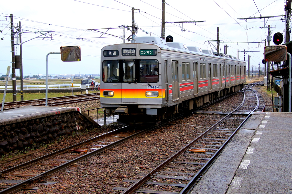 ステン君が来たよ～♪