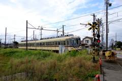 ダイコン君が来たよ♪