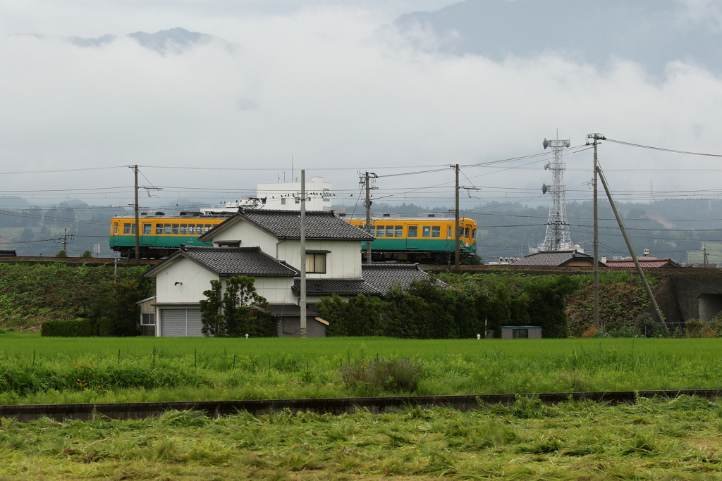 かぼちゃ君がゆく～♪