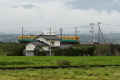かぼちゃ君がゆく～♪