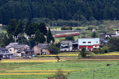 僕の生きる道（ダブルデッカー君）