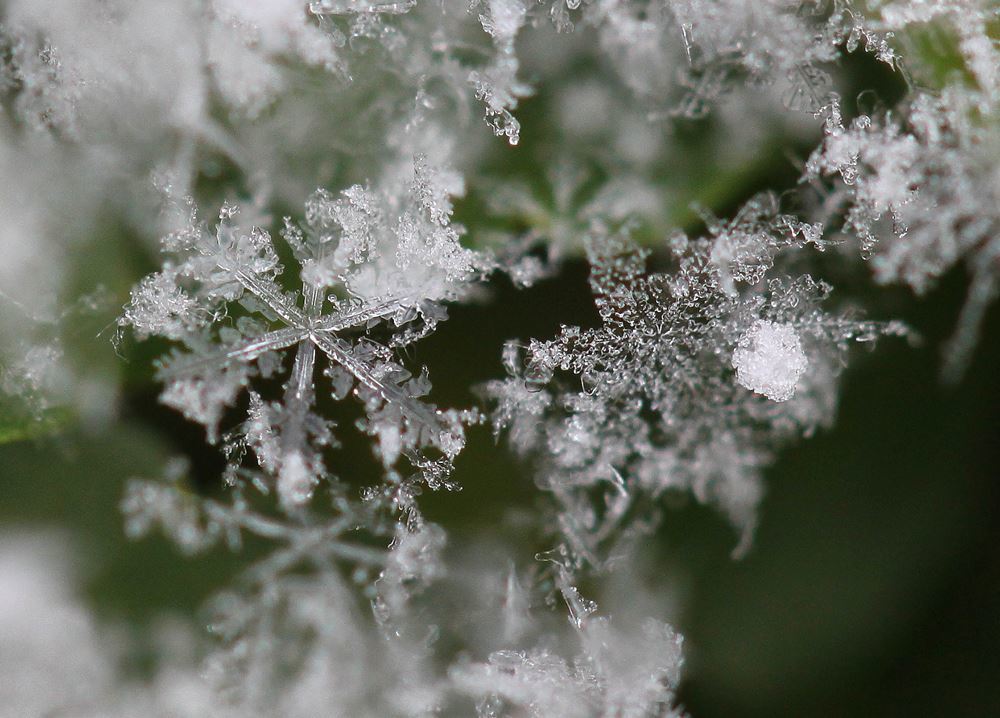 雪の結晶