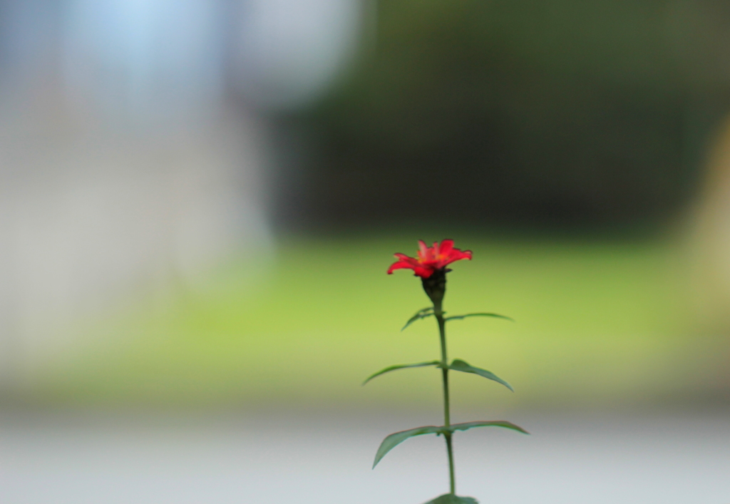 みんなどこへ行った～♪