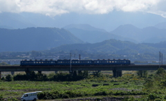 ブルー君~♪