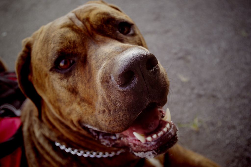 2010.09.26. KOBI'S LiFE.