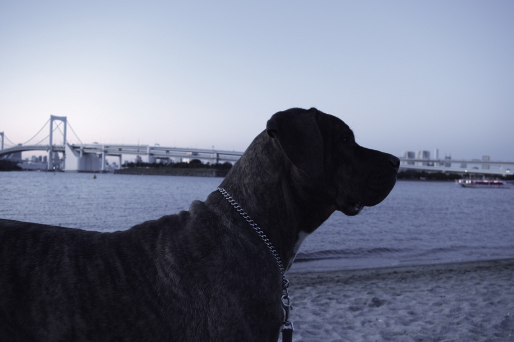 2009.12.20. KOBI'S LiFE