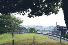 ゆずの木からの景色。