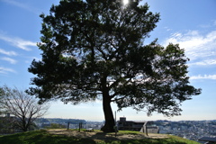KOBI'S LiFE...2012 Oct