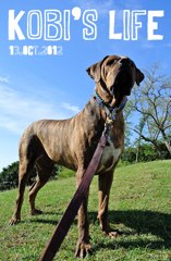 KOBI'S LiFE...2012 Oct