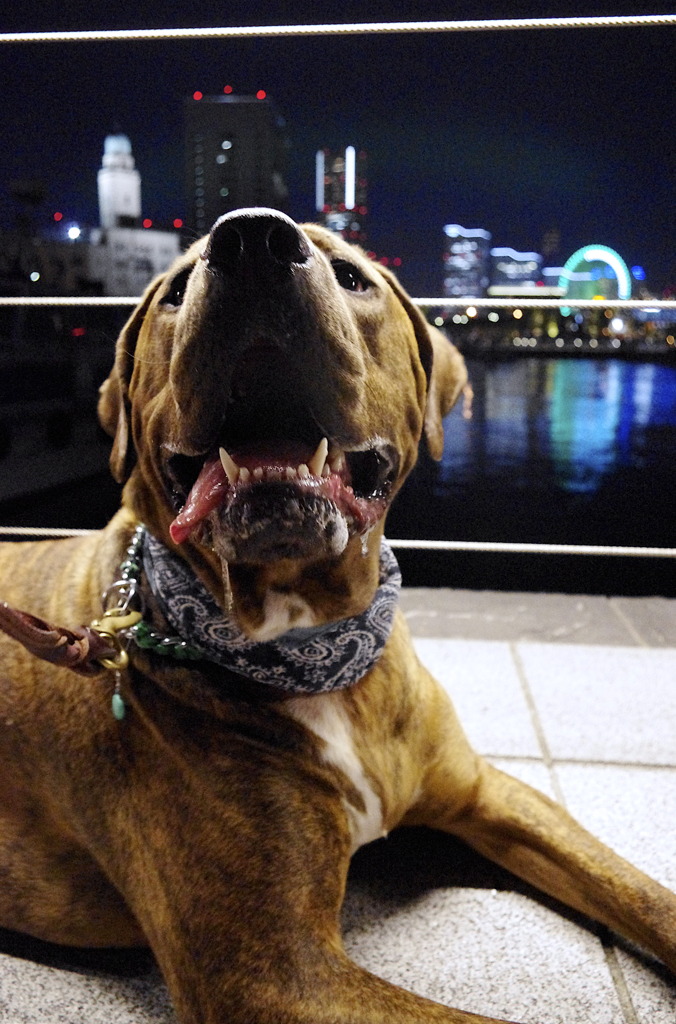 2010.07.19. KOBI'S LiFE