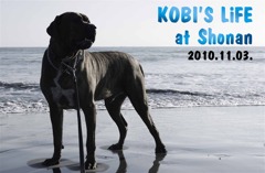 KOBI'S LiFE