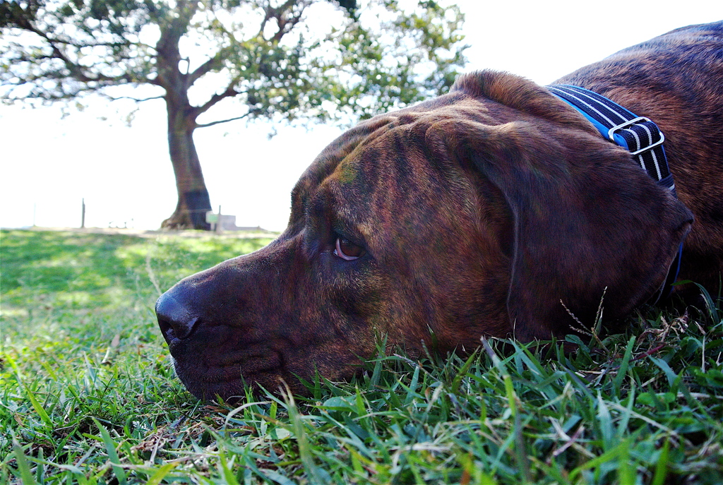 KOBI'S LiFE...2012 Oct