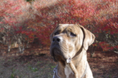 2009.12.09. KOBI'S LiFE.