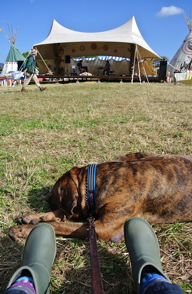 KOBI'S CAMP2012