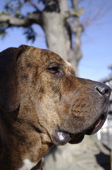 2009.12.20. KOBI'S LiFE