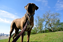 KOBI'S LiFE...2012 Oct