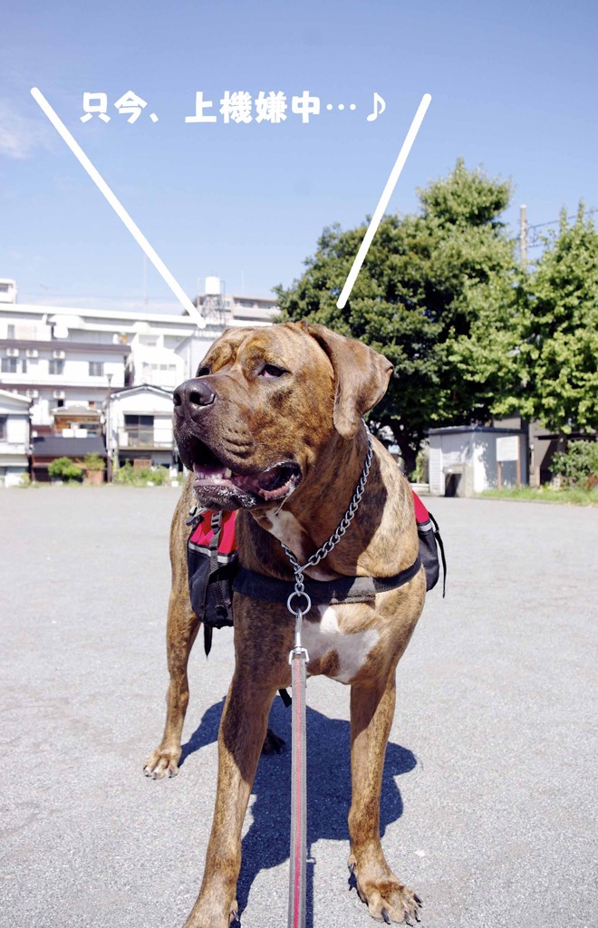 2010.09.26. KOBI'S LiFE.