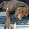 KOBI'S CAMP2012