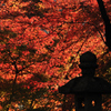 紅葉日和