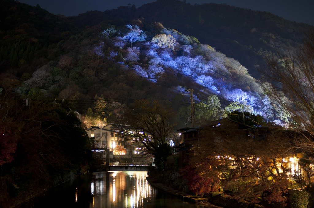 碧山＆もてなしの明り