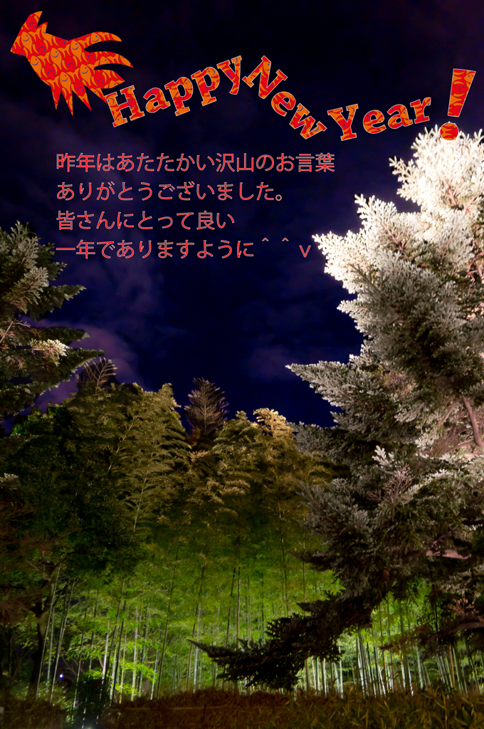 謹賀新年　2012