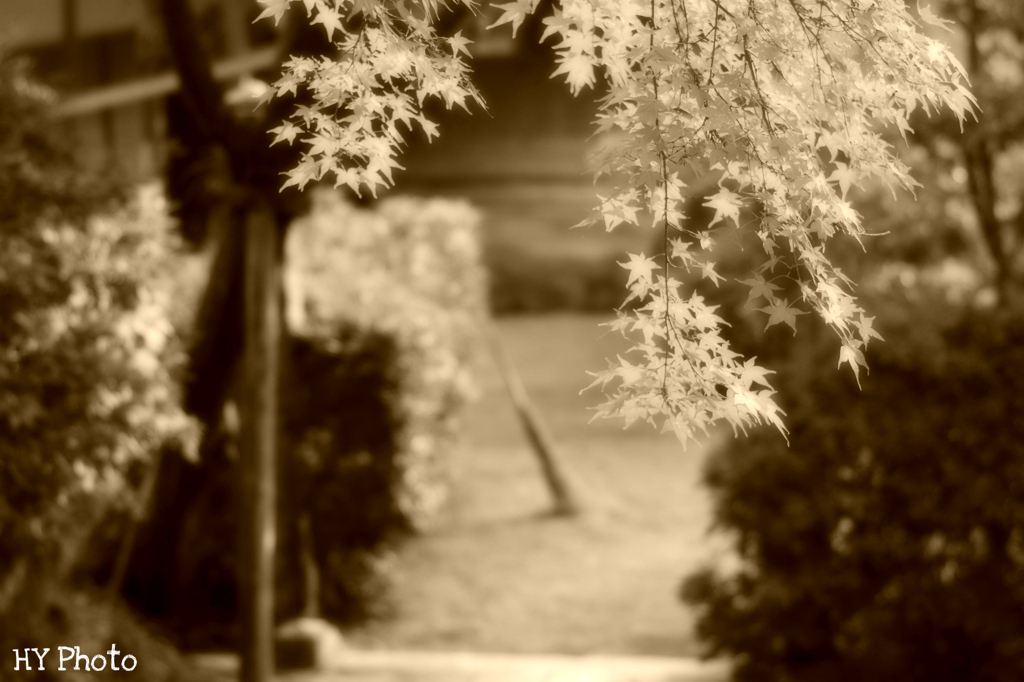 懐かしい景色