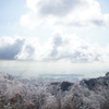 六甲山展望