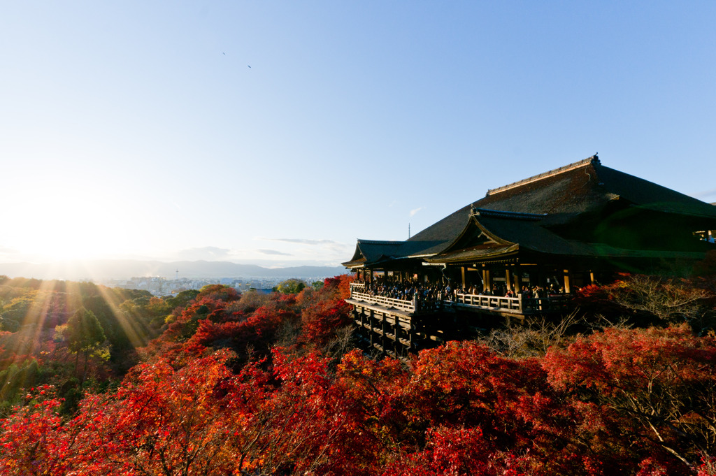 清水寺の紅葉