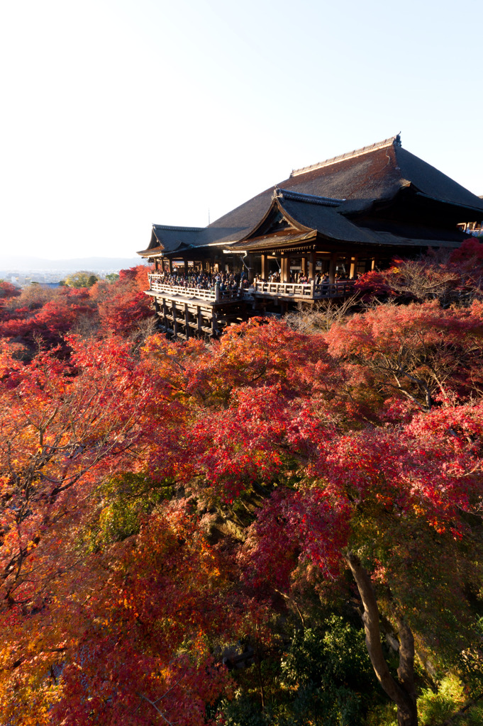 清水寺の紅葉