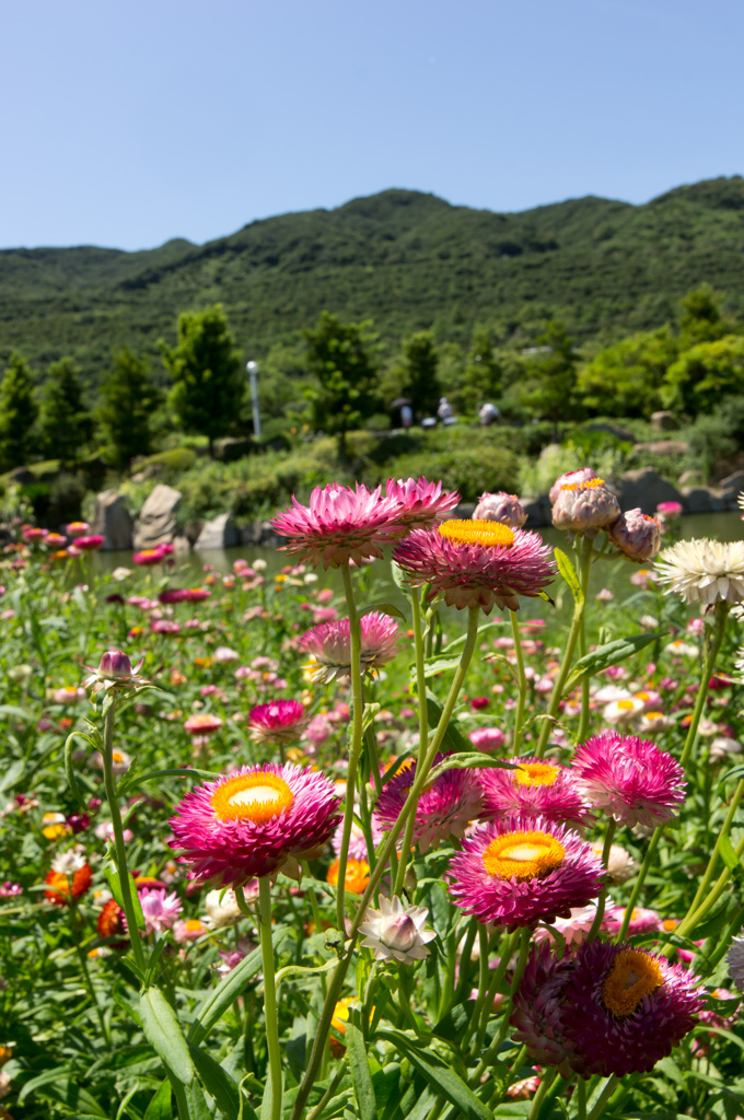 淡路島にて