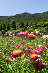 淡路島にて
