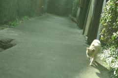 僕がこれから歩く道