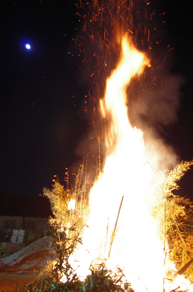 満月に飛び立つ火の鳥