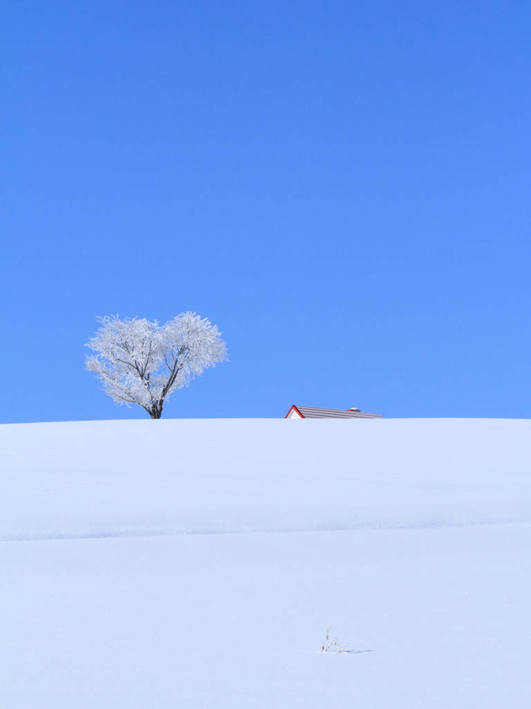 White Valentine