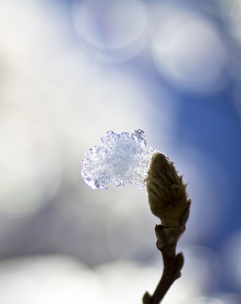 ice hat