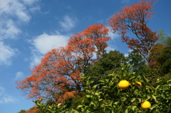 夜遊び撮影会１２０４（後編）６