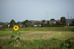 冬景色が来る前に１
