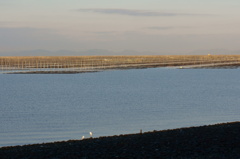 夜遊び撮影会１２０４（後編）４