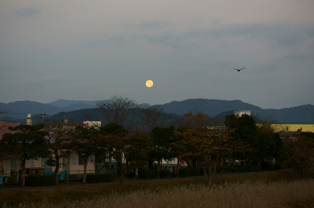 見知らぬ土地で一夜が明けて　２