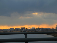IMG_3534