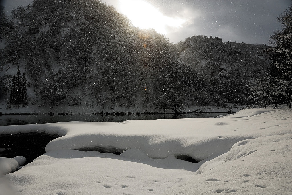 粉雪