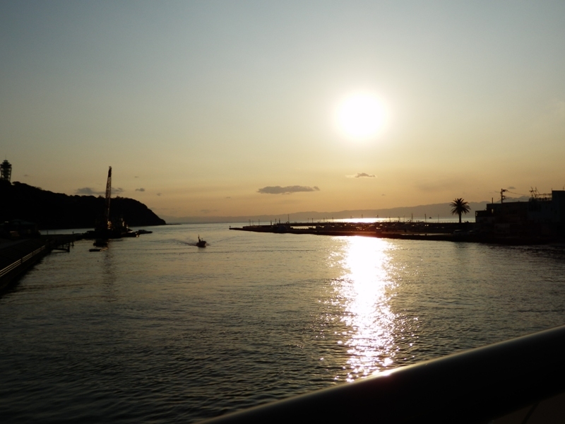 お帰り～、今日はどうだった？