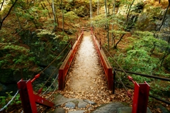 吾妻渓谷鹿飛橋