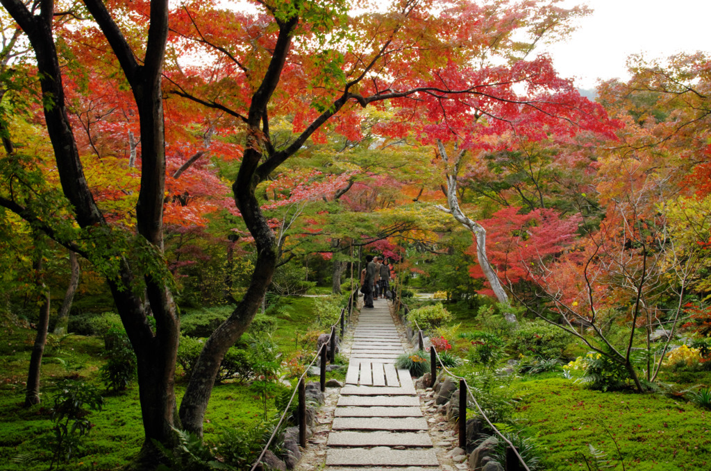 宝筐院