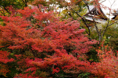 宝筐院